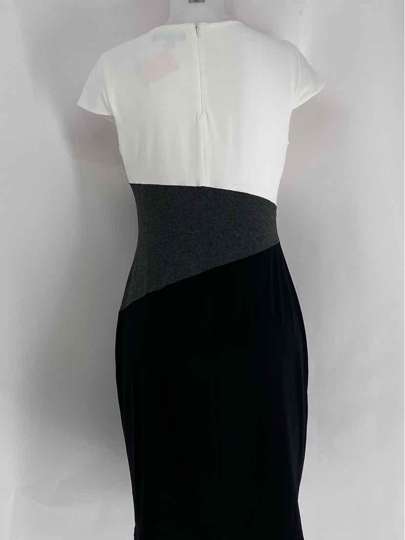 Size 10P RALPH LAUREN Black Dress