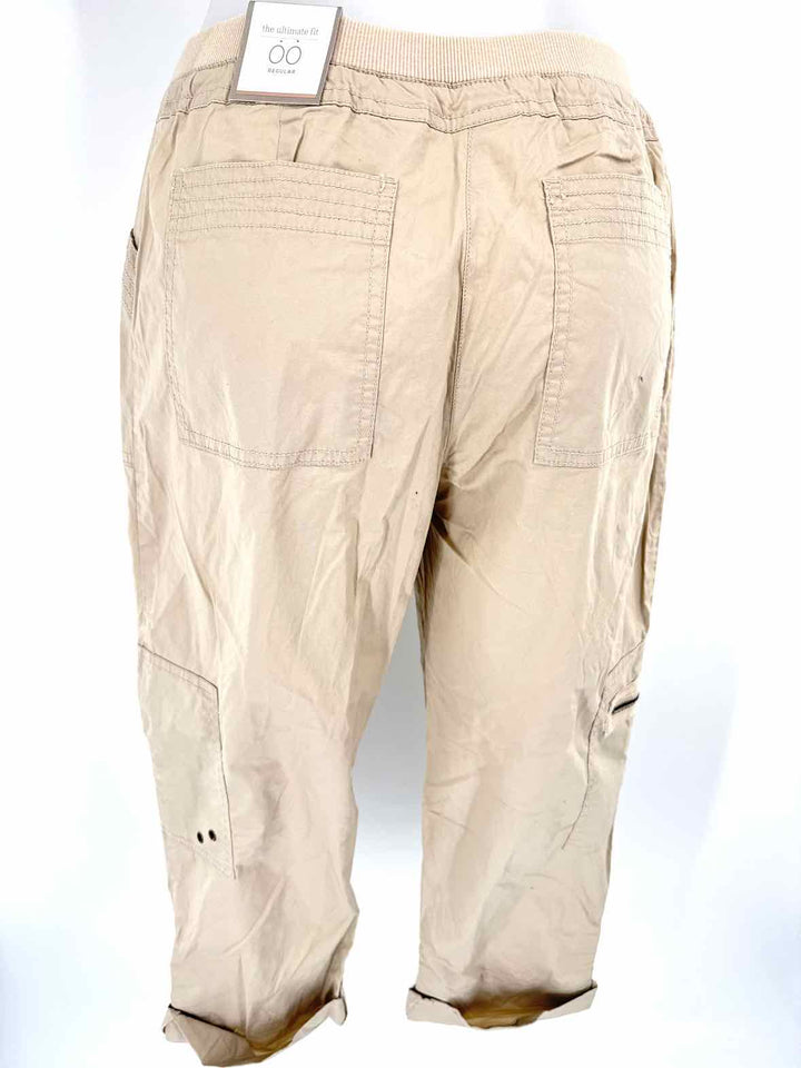 Size S Chico's Tan Pants