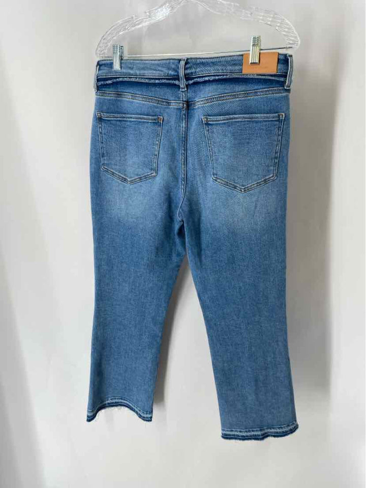 Size 30 DEAR JOHN Denim Pants