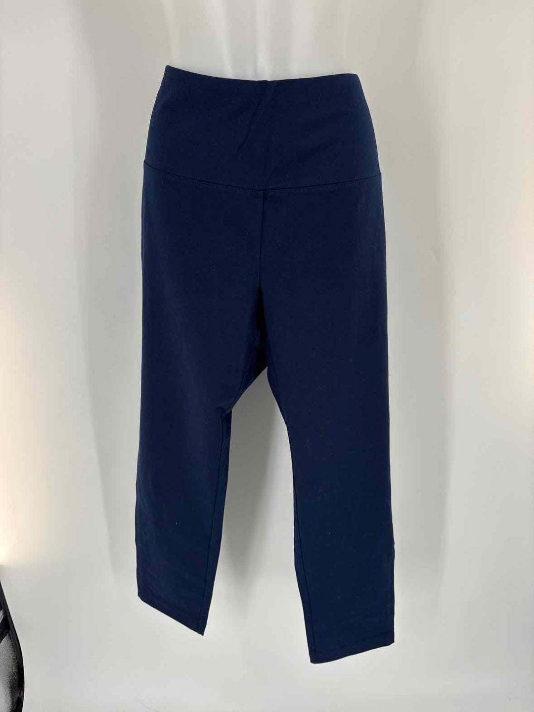 Size XL Chico's Navy Pants