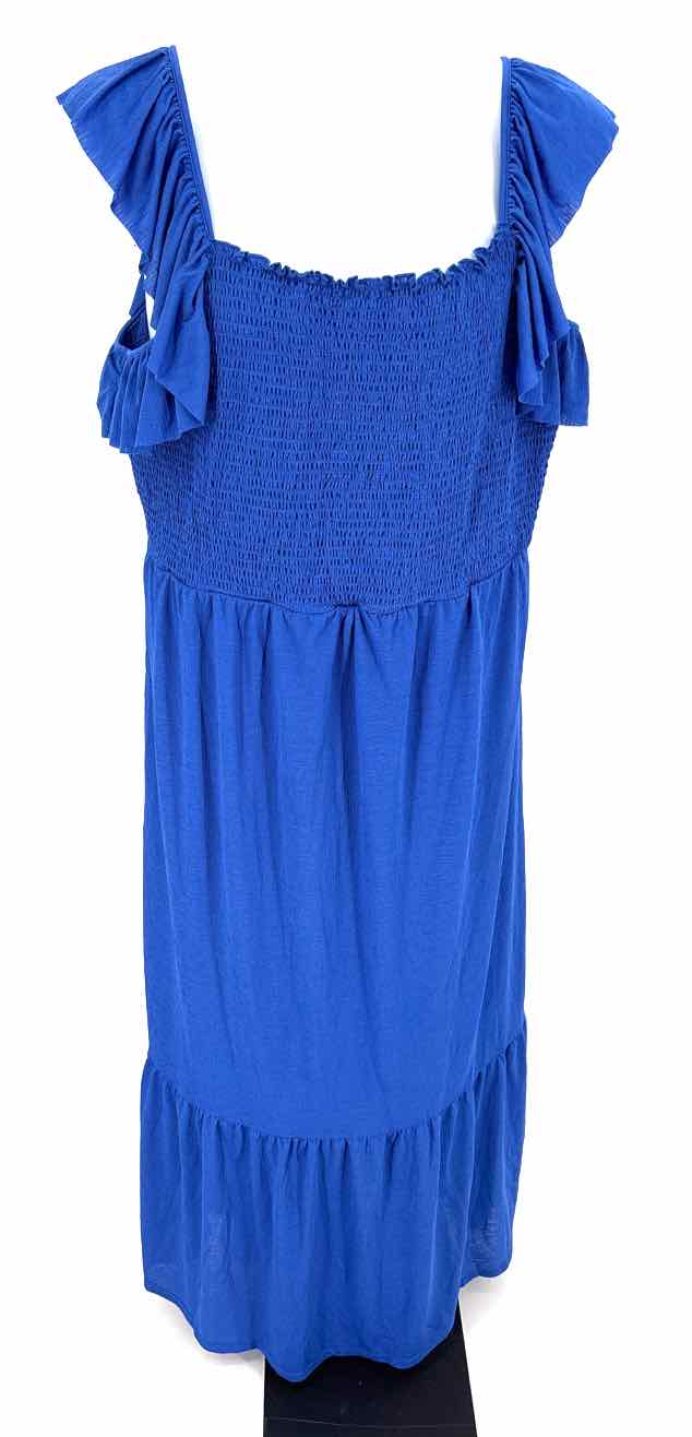 Size 3X Blue Dress