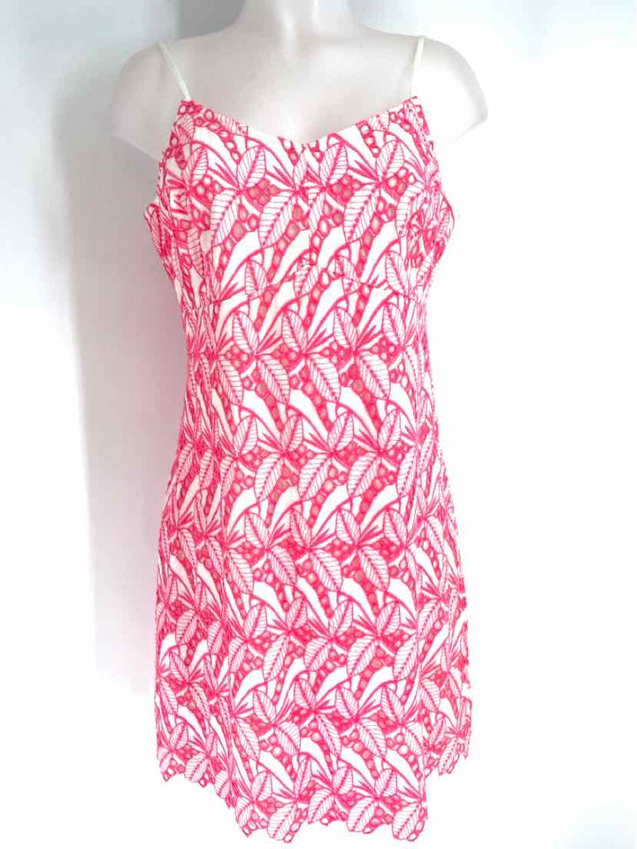 Size 12 CROWN & IVY Fuschia Dress
