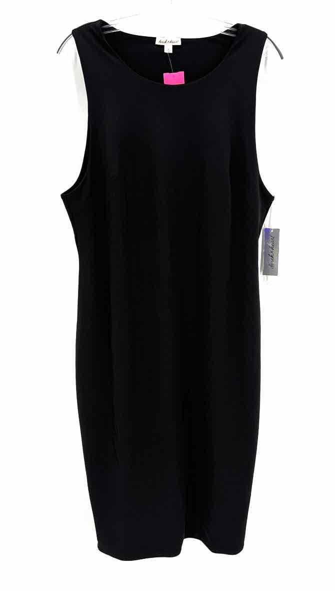 Size 2X Black Dress
