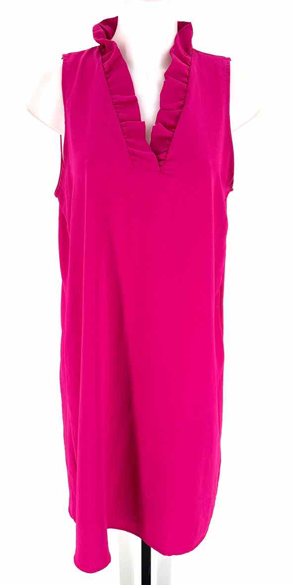 Size L Fuschia Dress