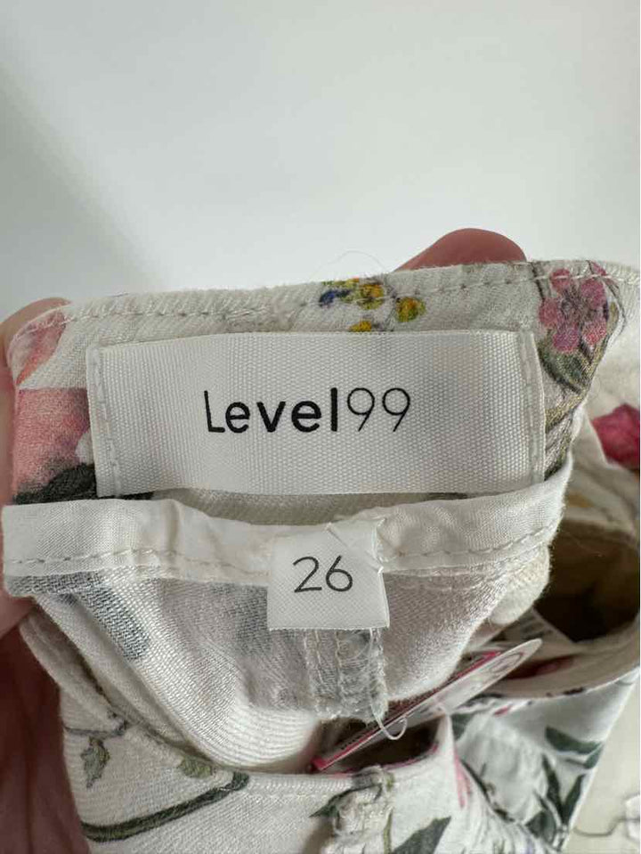 Size 29 LEVEL 99 Multi-Color Pants