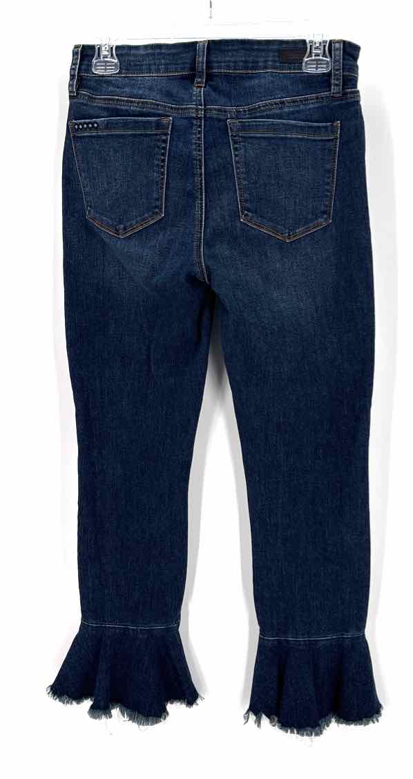 Size 28 BLANK NYC Blue Denim Jeans