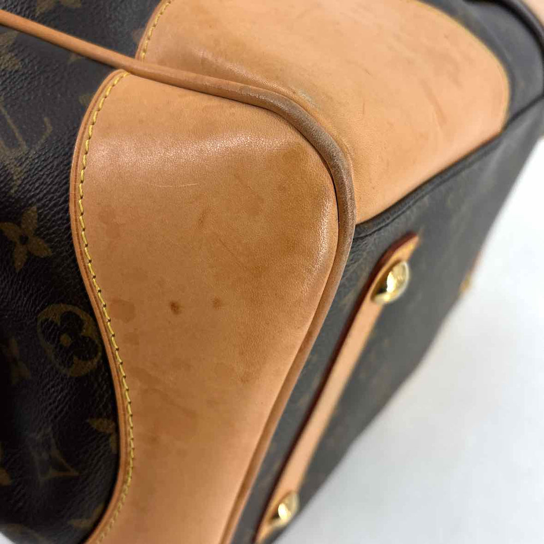 Louis Vuitton Luxury - Purse