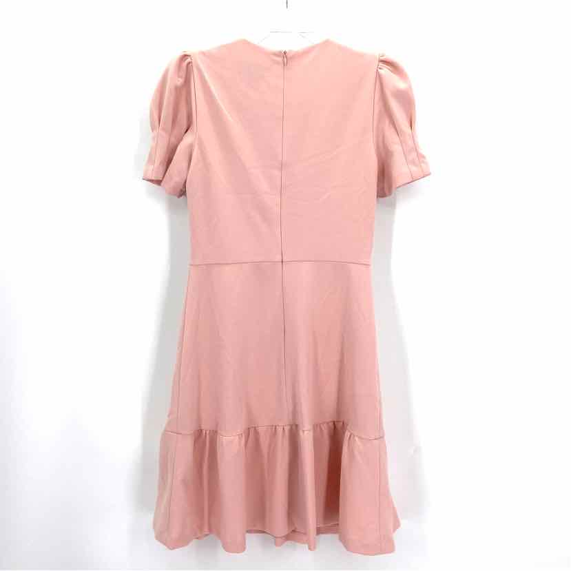 Size 4 DKNY Pink Dress