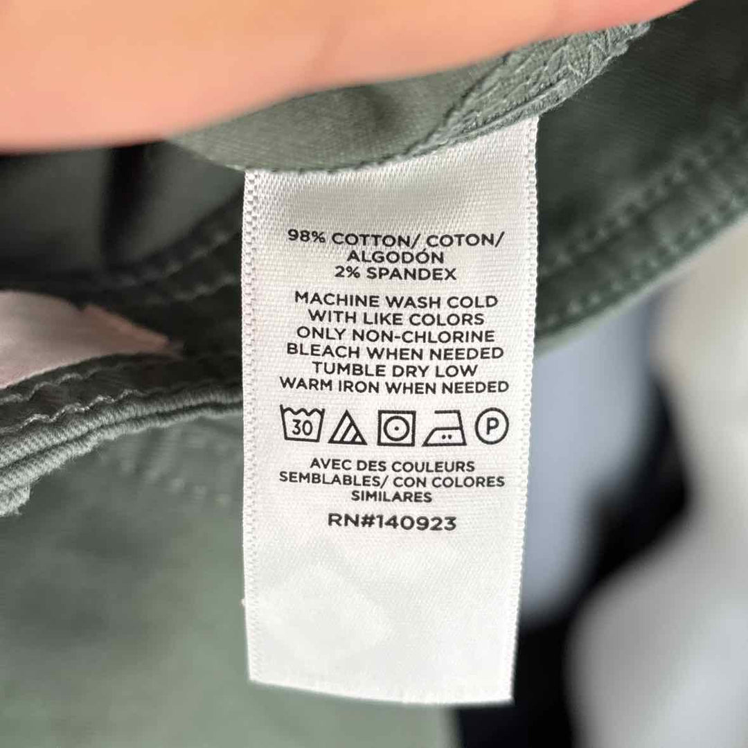 Size 8 LOFT Sage Pants
