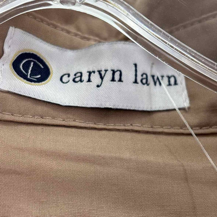 Size L Brown Dress