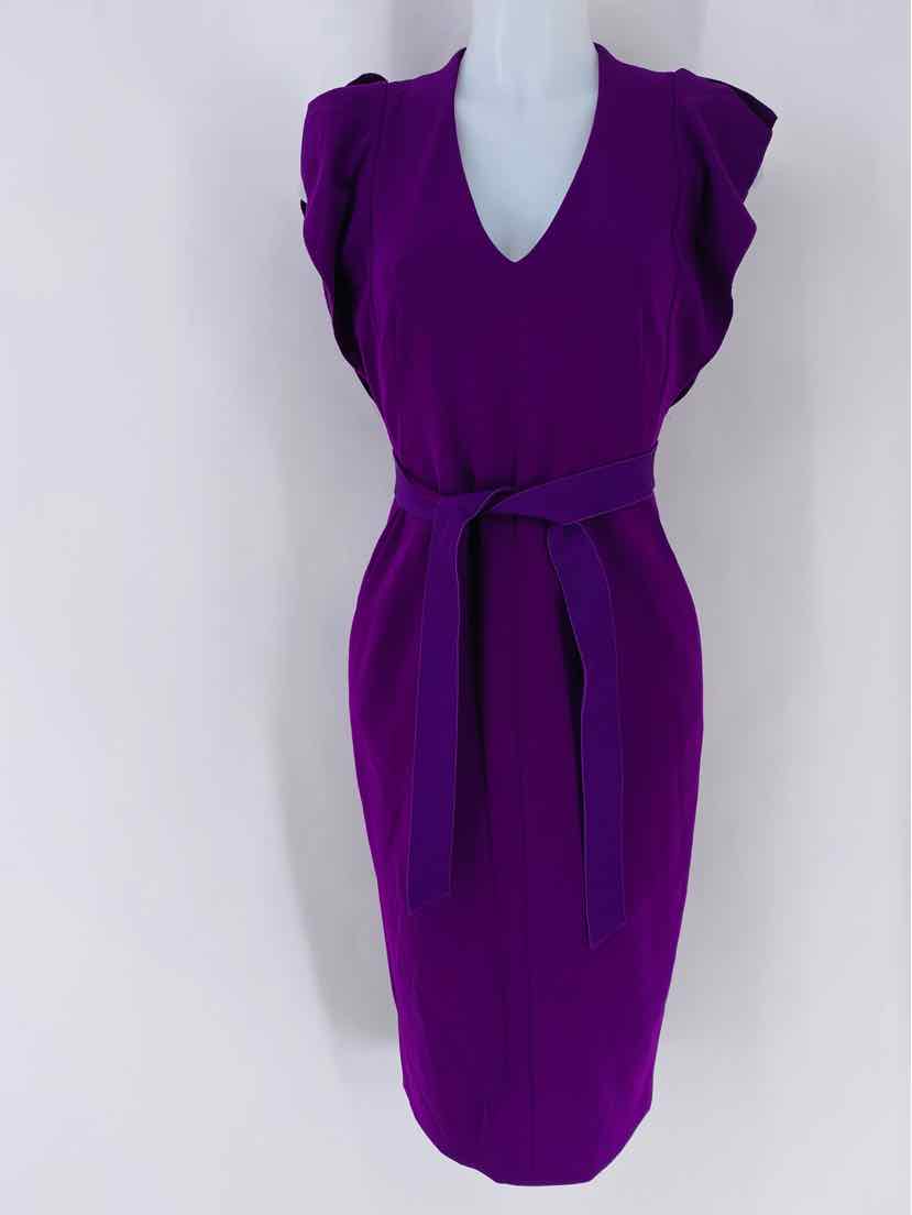 Size 6 KAREN KANE Purple Dress