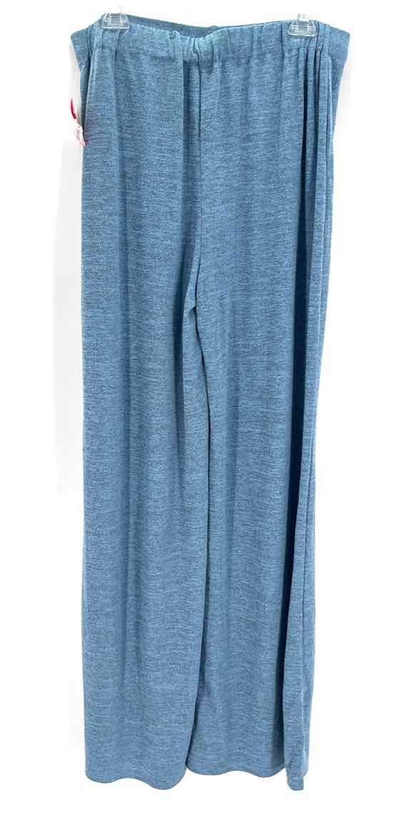 Size 2 Blue Pants