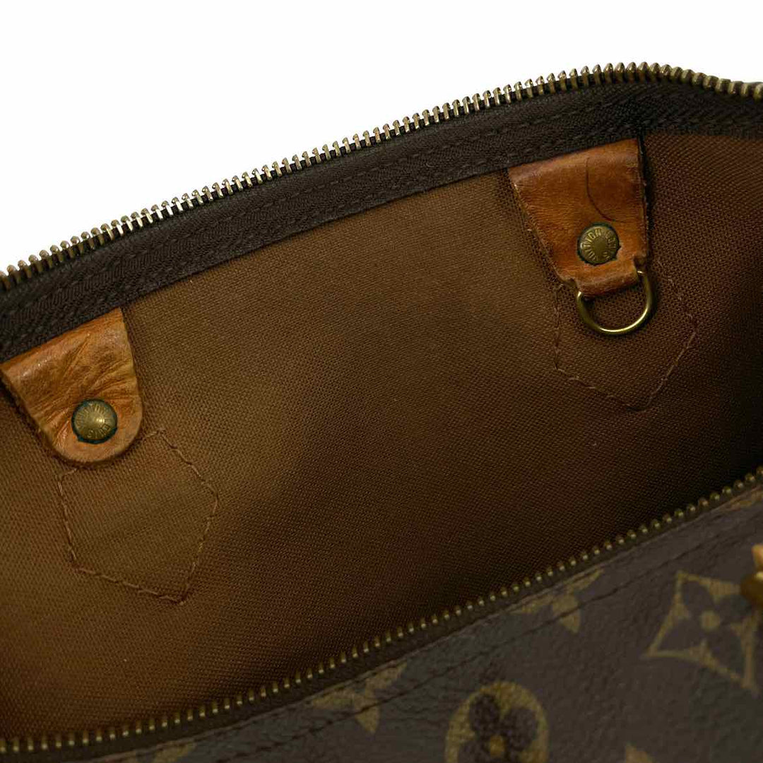 Louis Vuitton Luxury - Purse