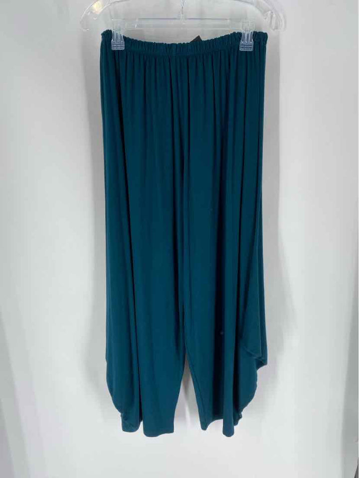 Size XL BRYAN WALKER Teal Pants