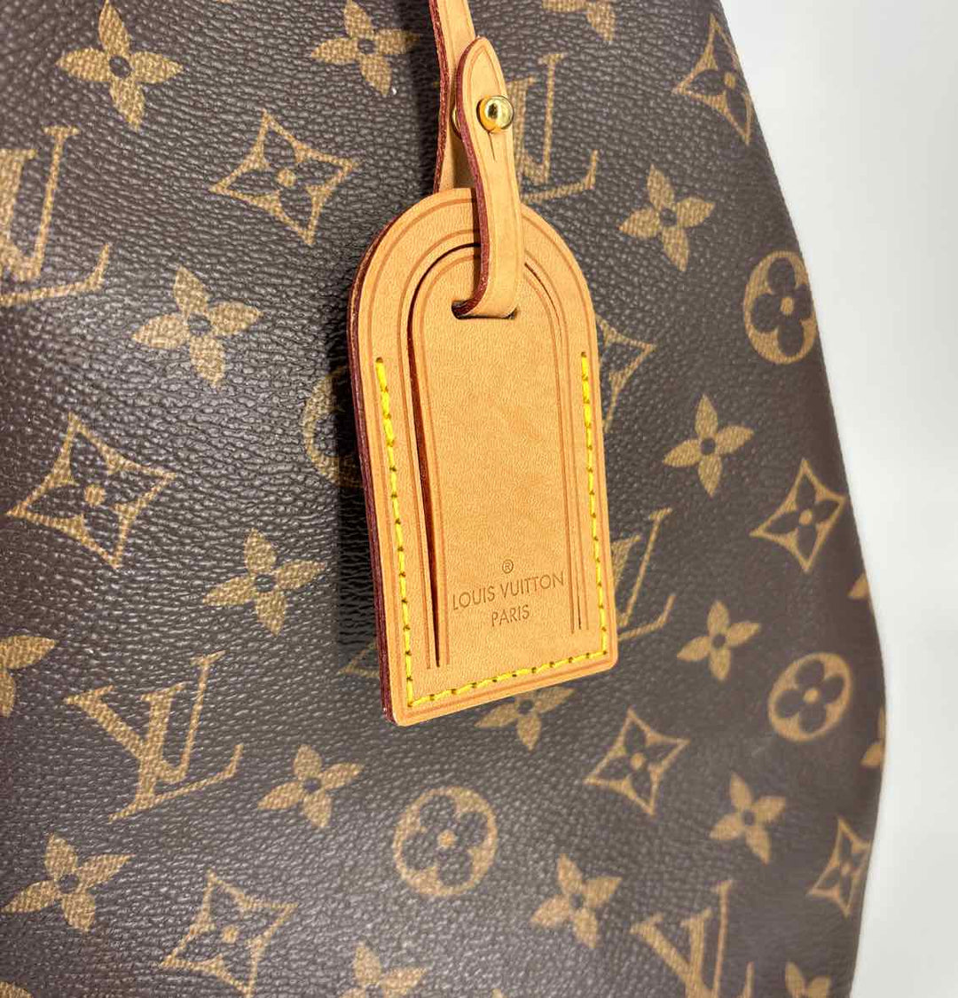Louis Vuitton Luxury - Purse