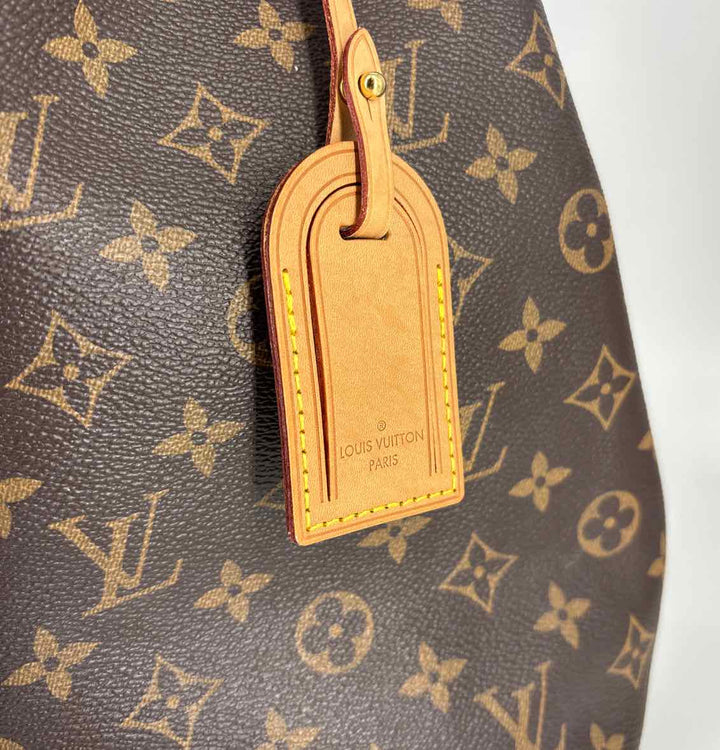 Louis Vuitton Luxury - Purse
