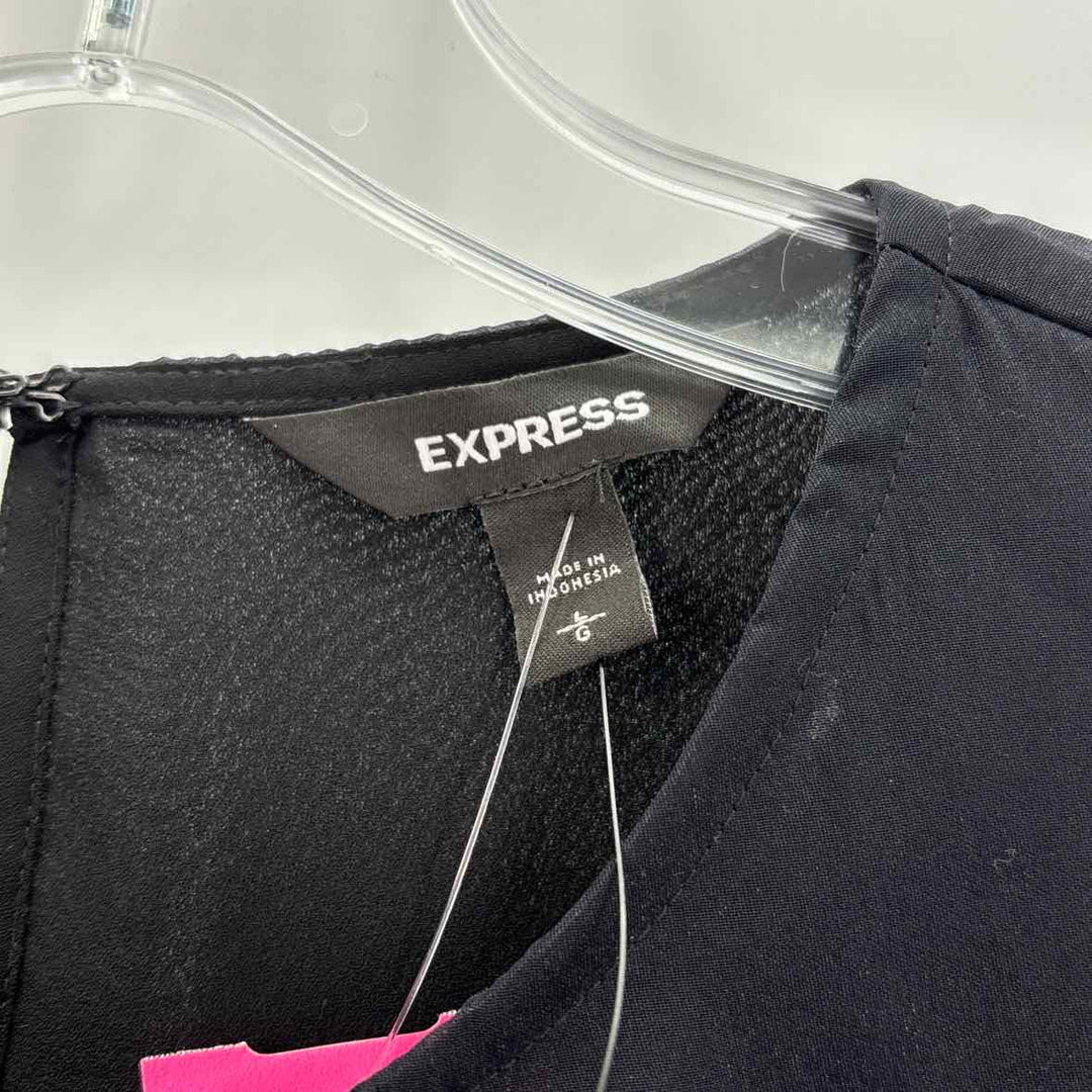 Size L EXPRESS Black Organza Shirt