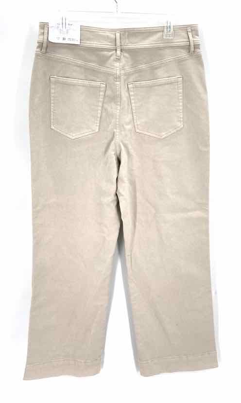 Size 31 LOFT Ivory Pants