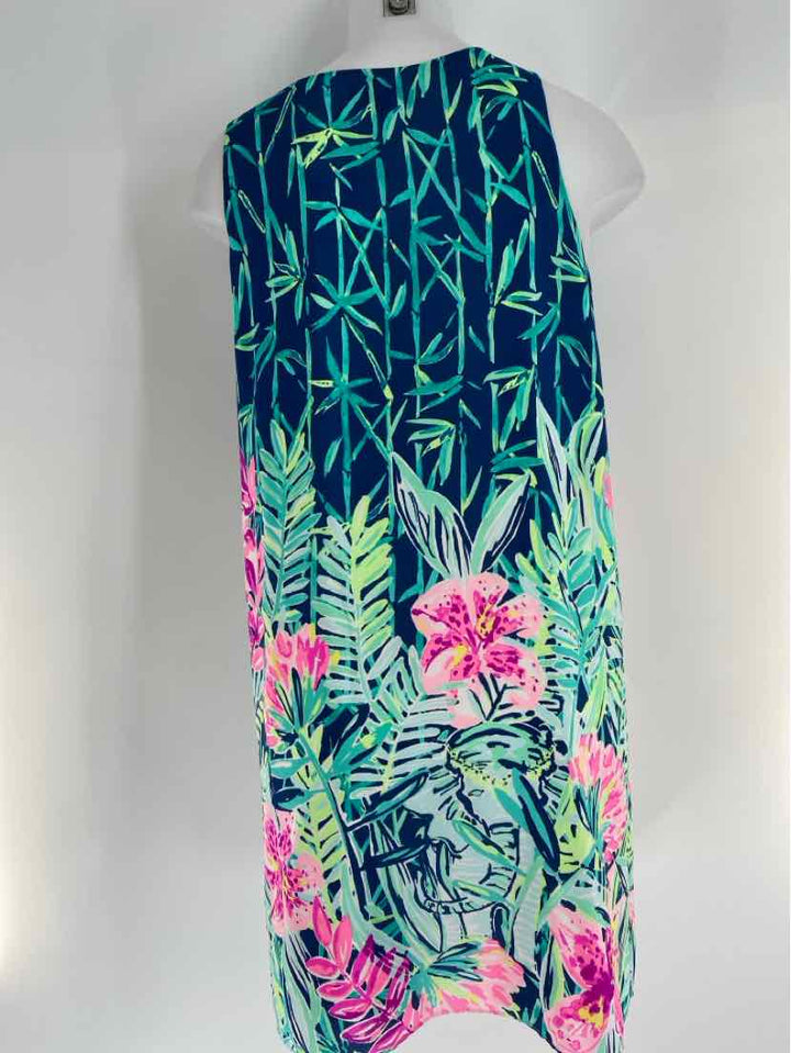 Size M Lilly Pulitzer Multi-Color Dress