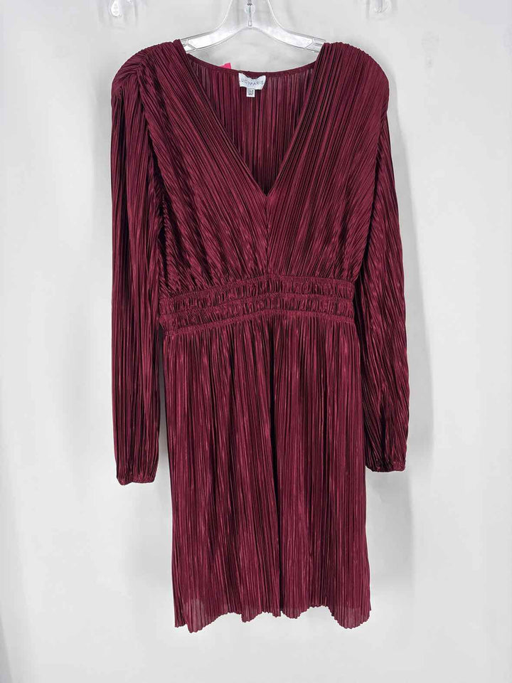 Size M Wine Dress