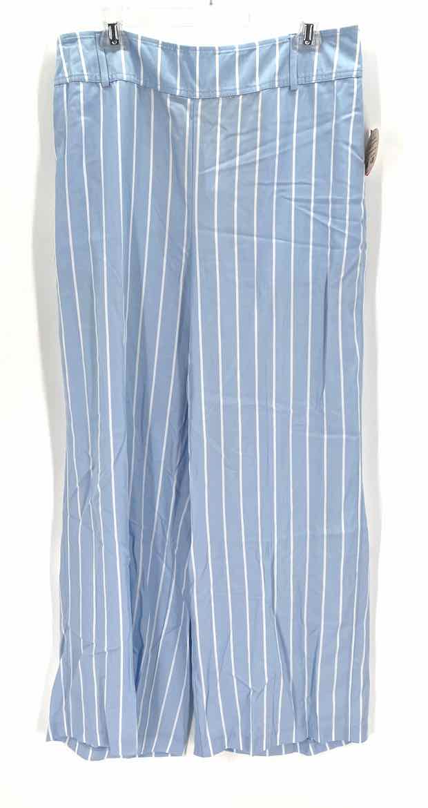 Size 14 LANE BRYANT Light Blue Pants