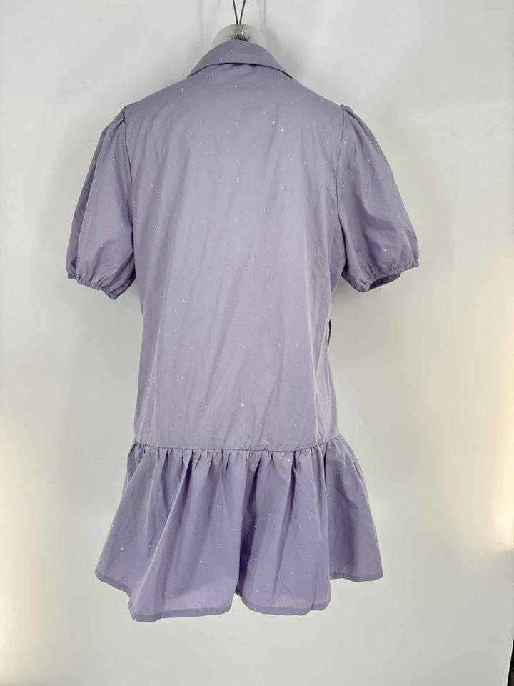 Size 12 Purple Dress