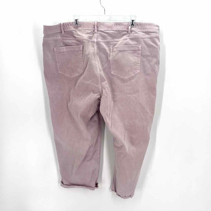 Size 24 J JILL Lavender Denim Jeans