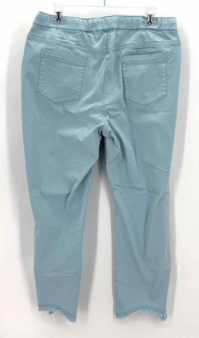 Size L Light Blue Pants