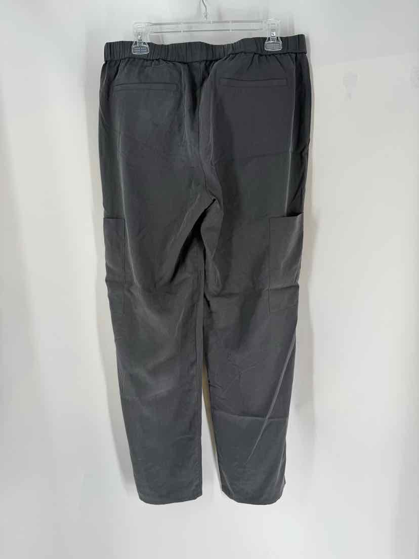 Size M Eileen Fisher Gray Pants