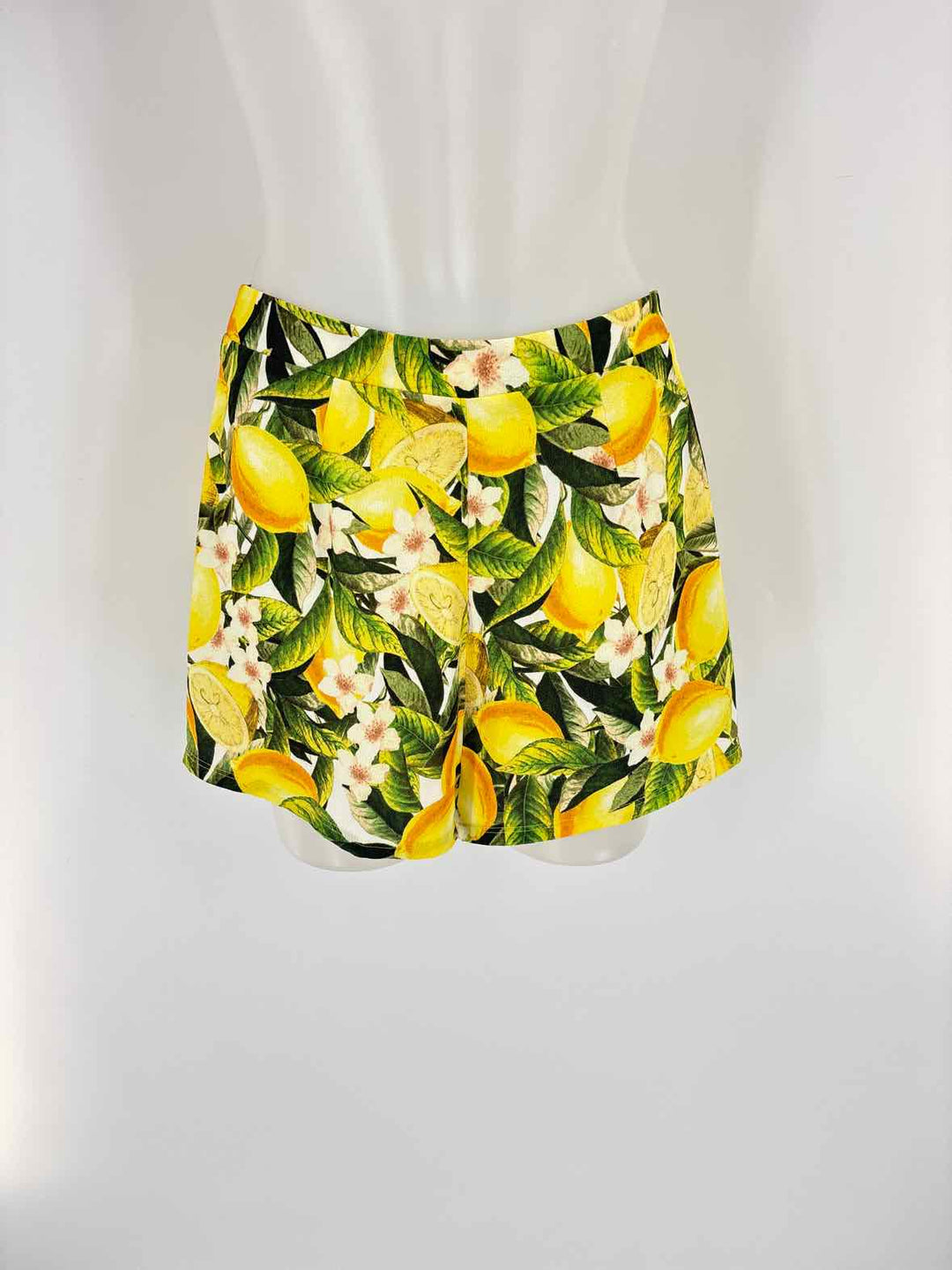 Size L SHOW ME YOUR MUMU Yellow Shorts
