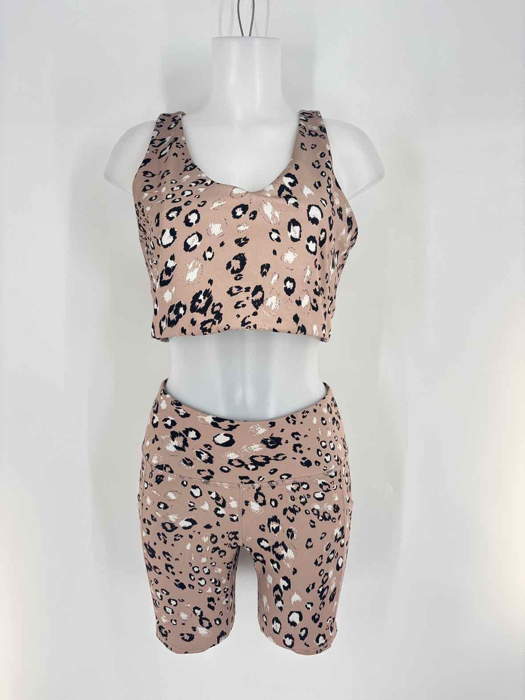 Size M ZELLA Tan 2 PC Dress