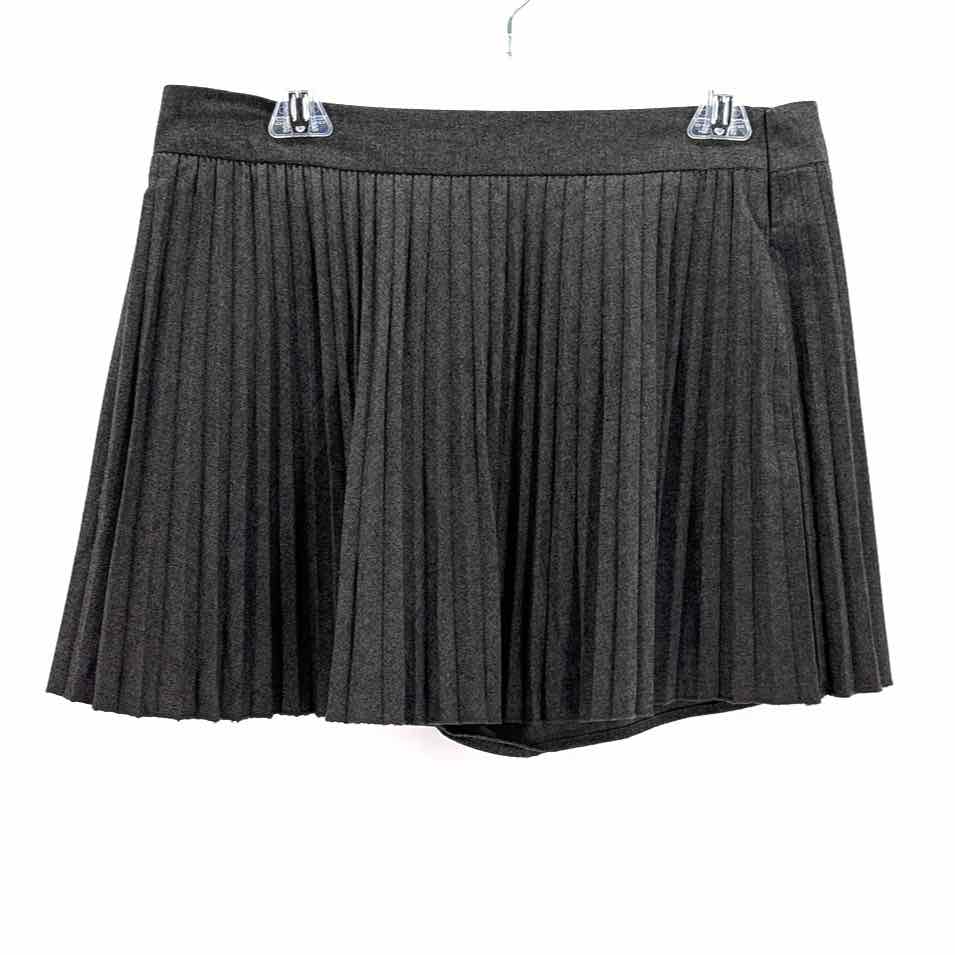 Size XL ZARA Gray Skirt