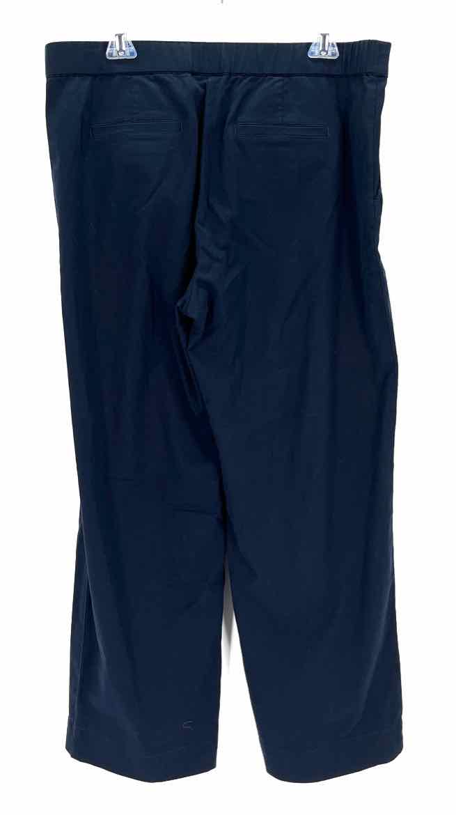 Size 14 J JILL Navy Pants