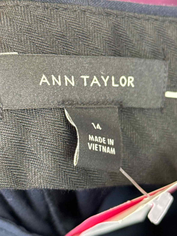 Size 14 Ann Taylor Navy Pants