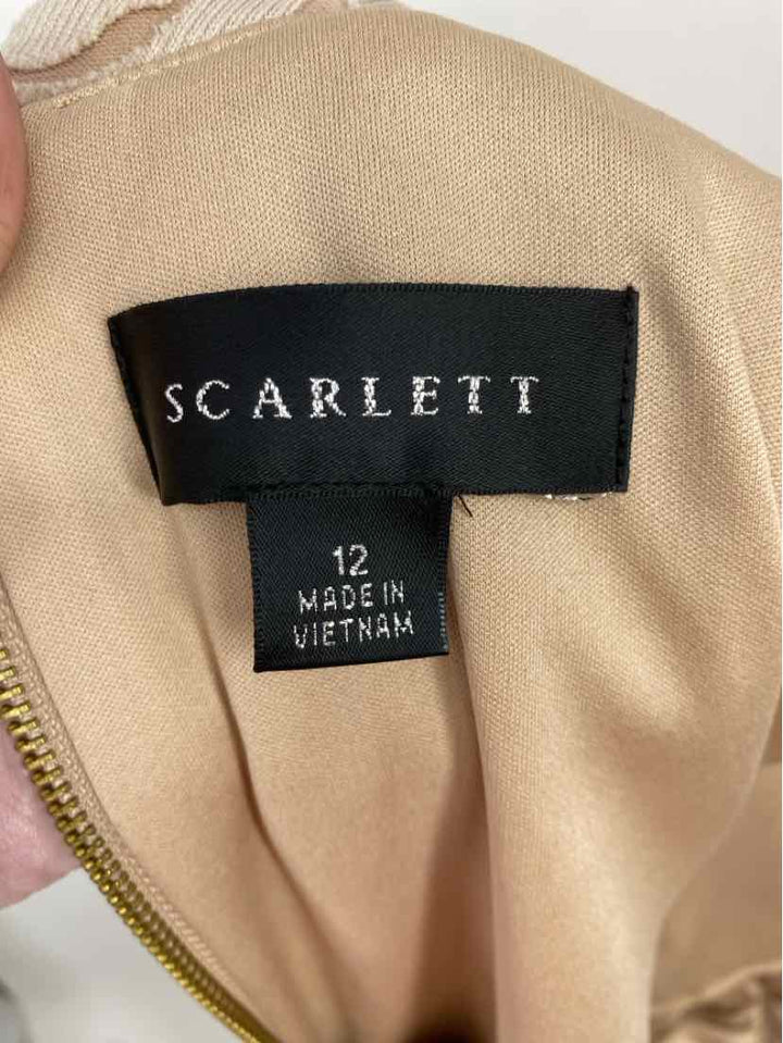 Size 12 Taupe Dress