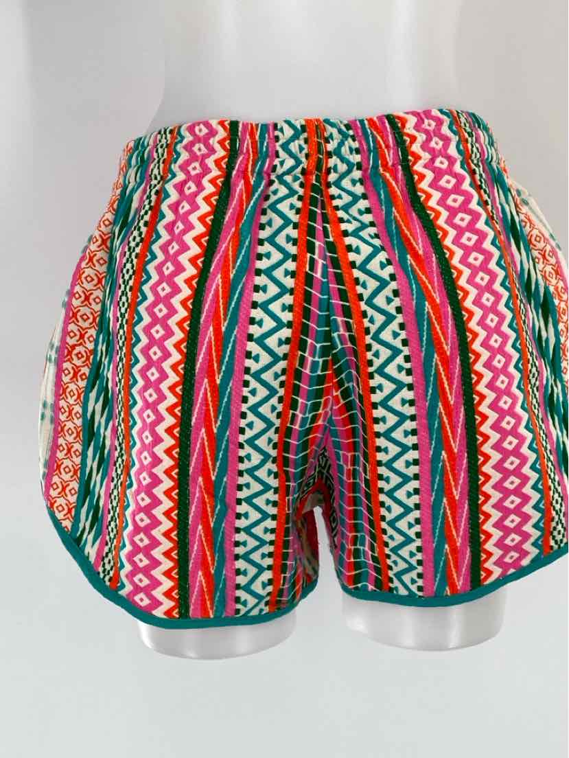 Size L Multi-Color Shorts