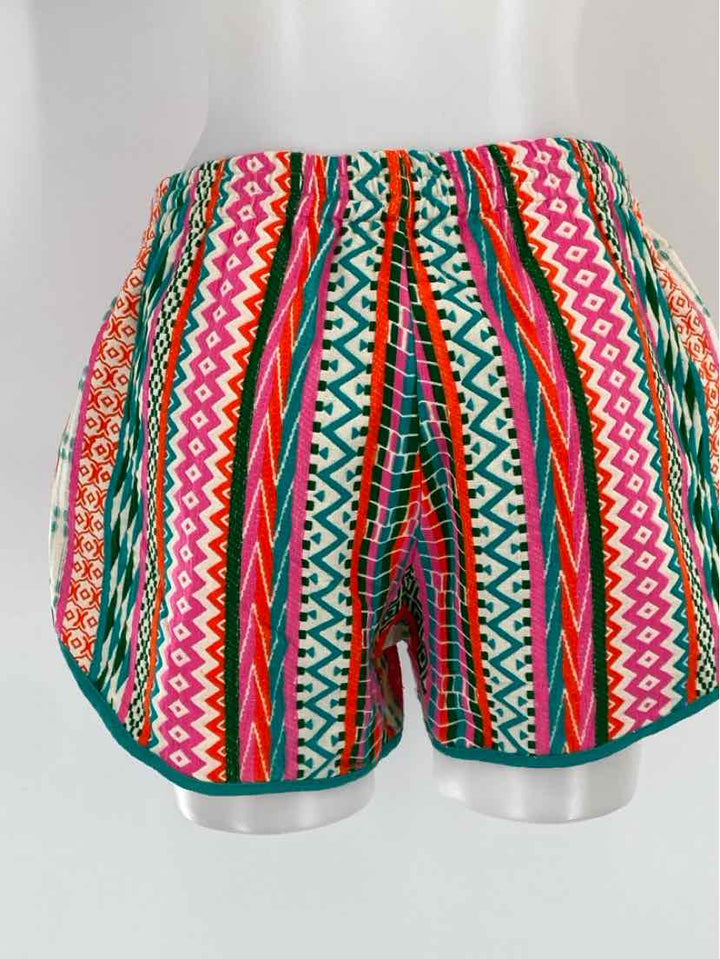 Size L Multi-Color Shorts