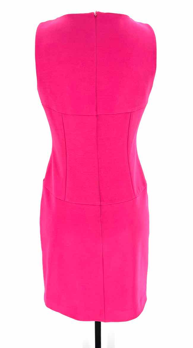 Size 6 Fuschia Dress