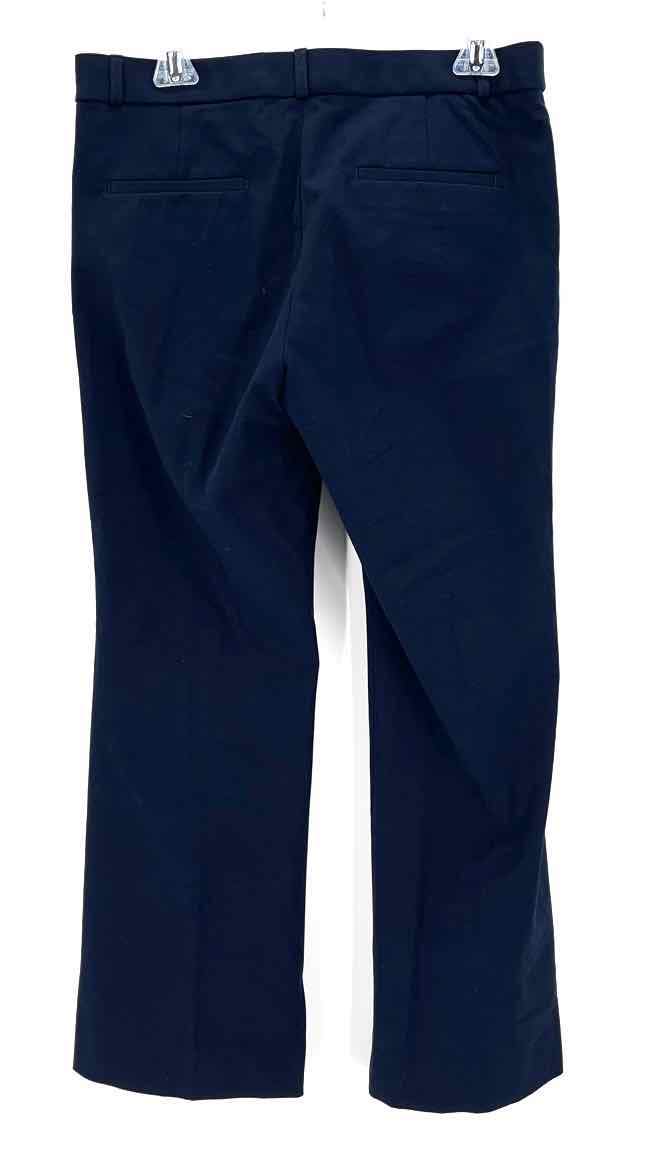 Size 10 Banana Republic Navy Pants