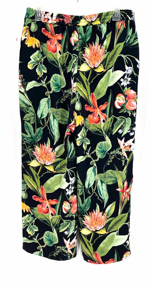 Size M Chico's Multi-Color Pants