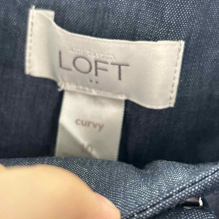 Size 10 LOFT Navy Pants