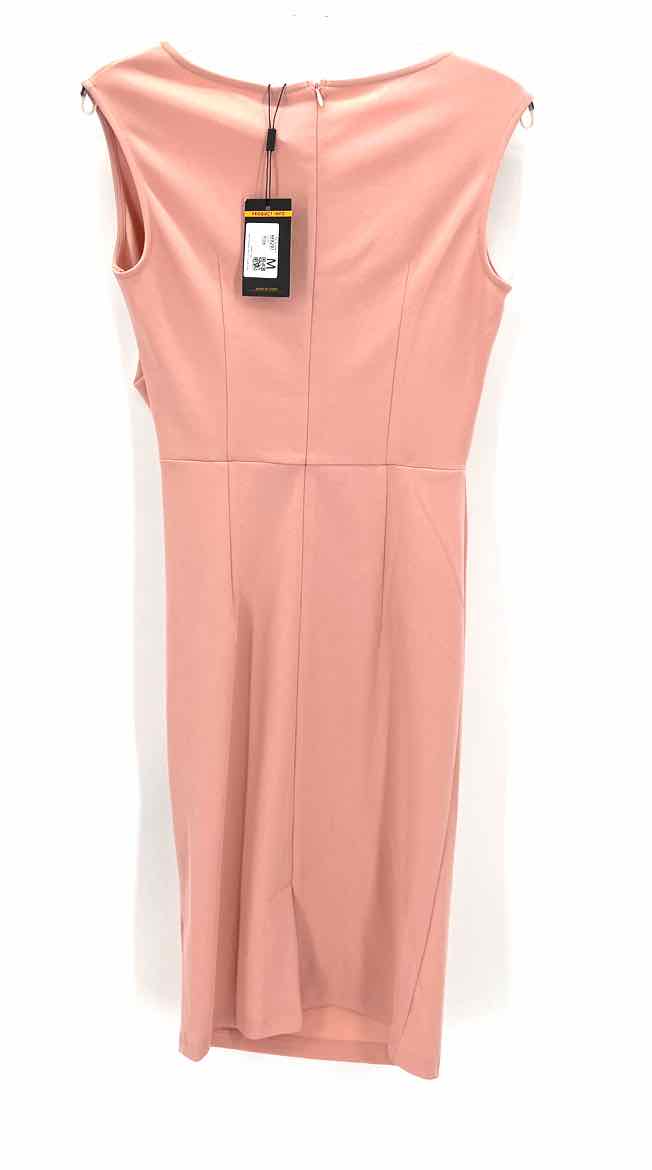 Size M Blush Dress