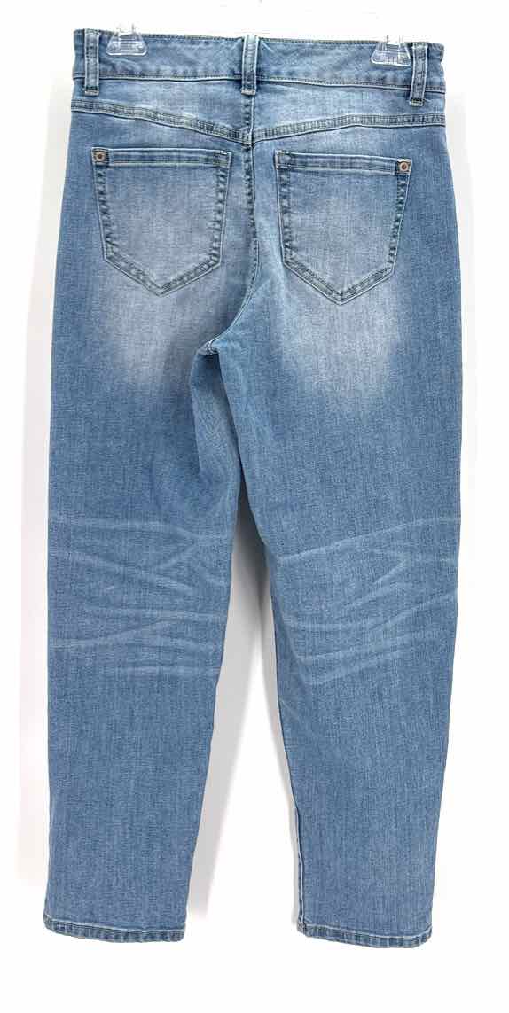 Size 27 INC Blue Denim Jeans