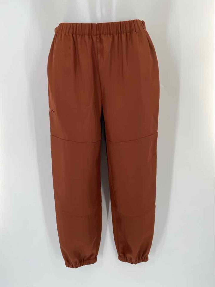 Size S THEORY Brown Pants