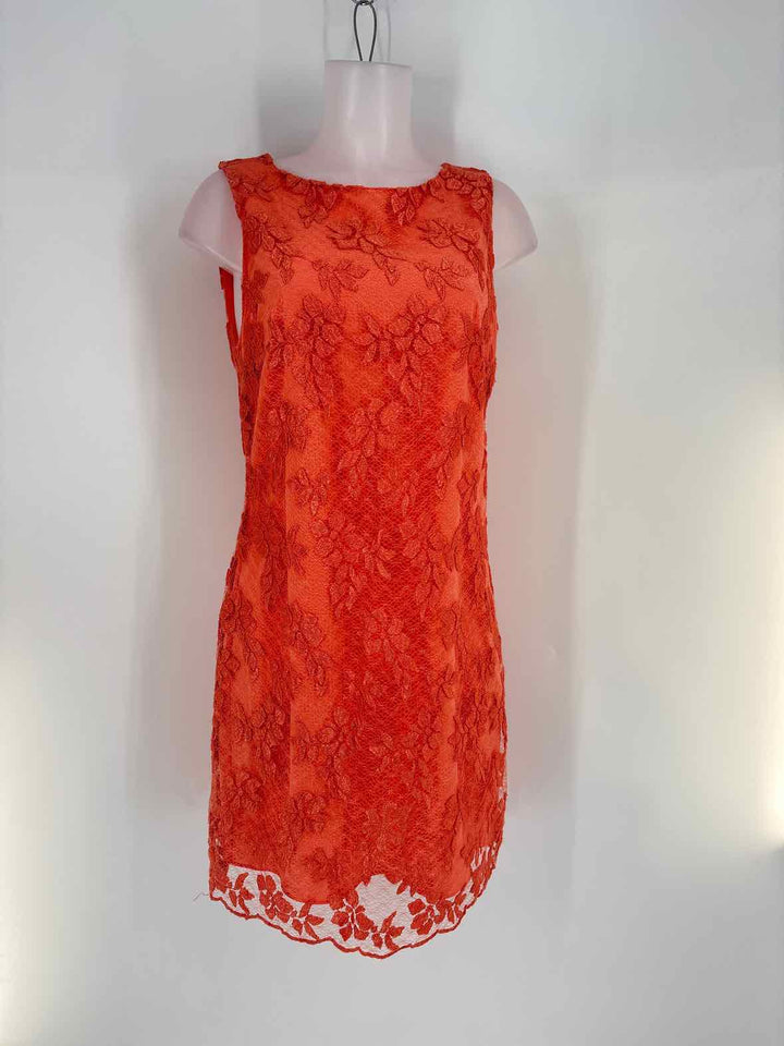 Size 10 Alice + Olivia Black Lace Dress