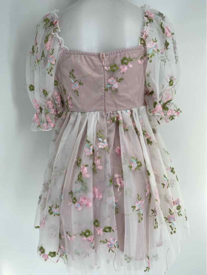 Size M Pink Dress