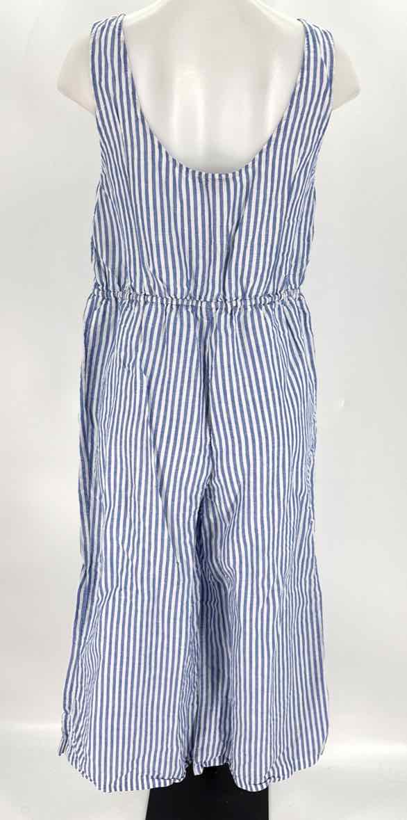 Size M J Crew Blue Print Dress