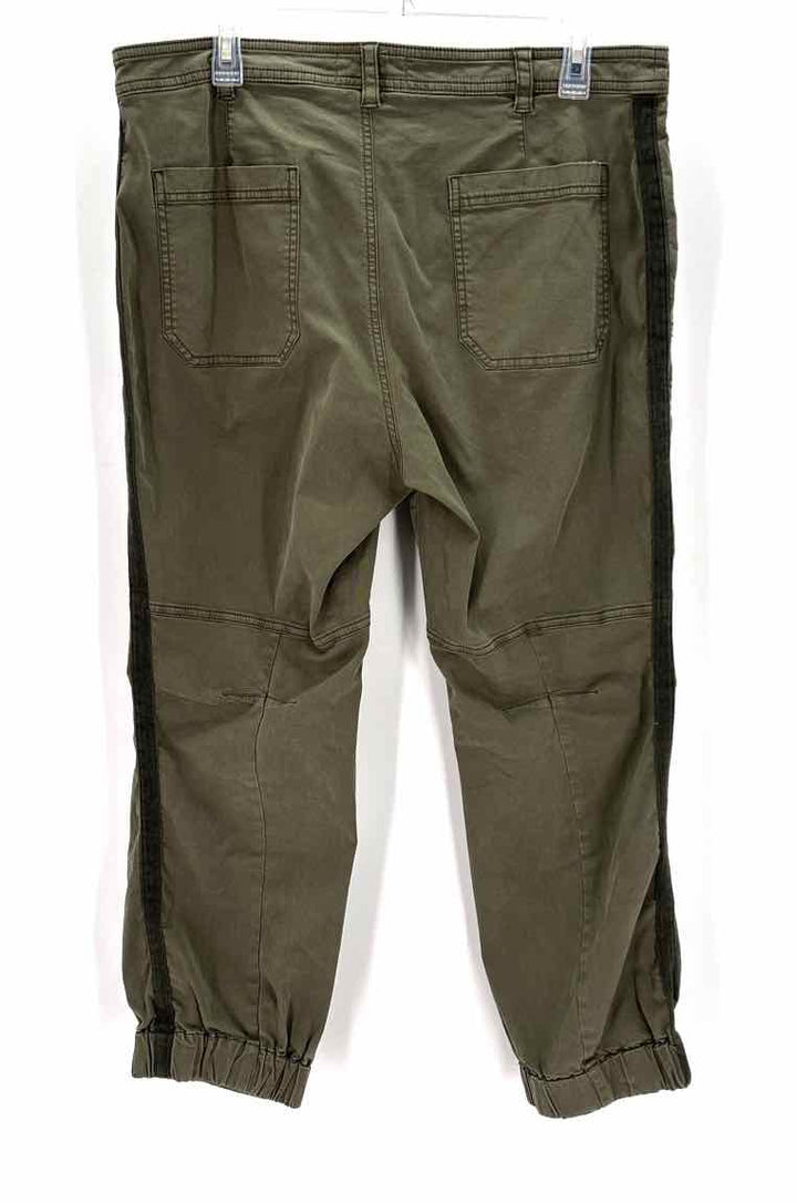 Size 14 Anthropologie Olive Pants