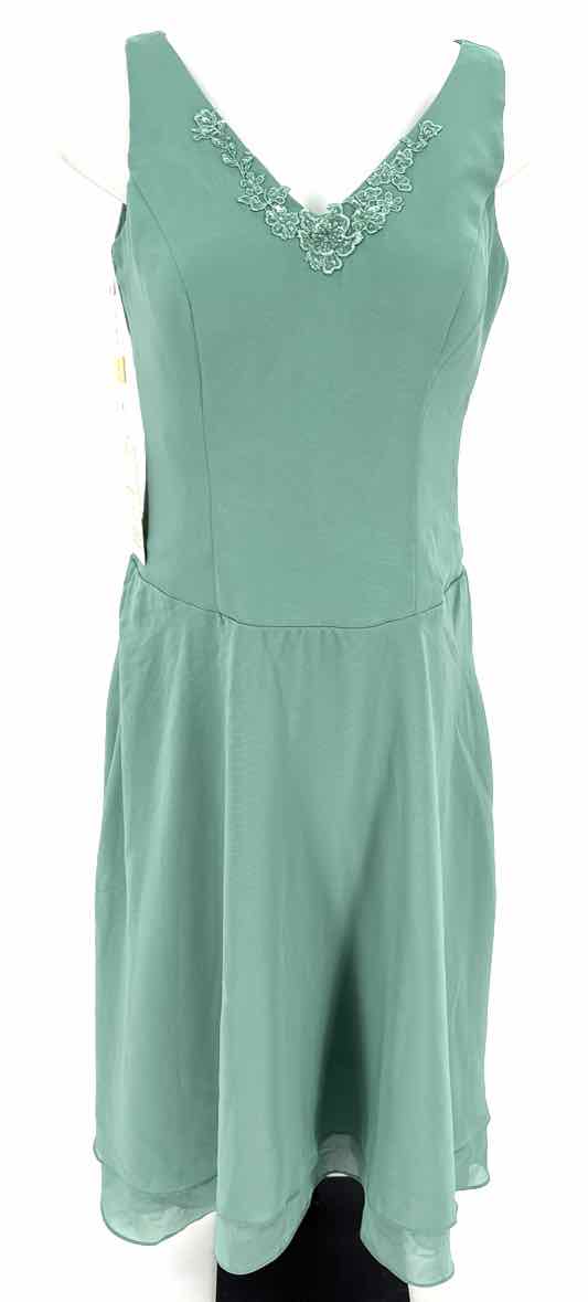 Size 12 Sage Chiffon Dress