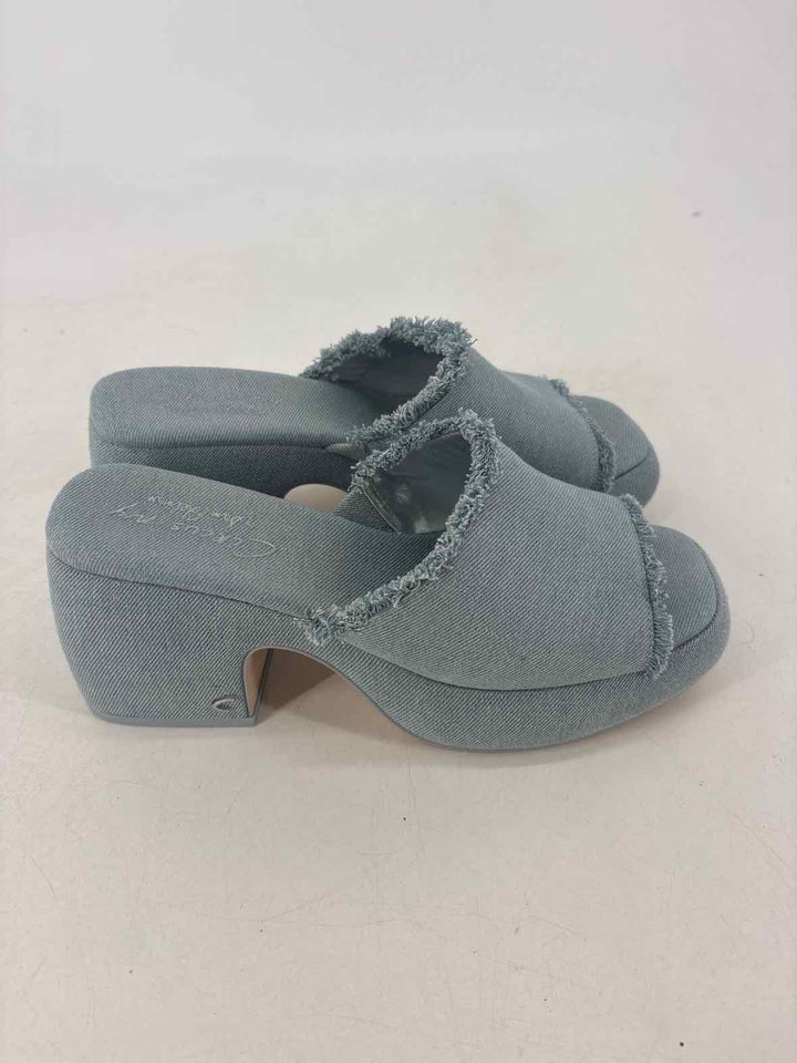 Shoe Size 8 Sam Edeleman Denim Sandals